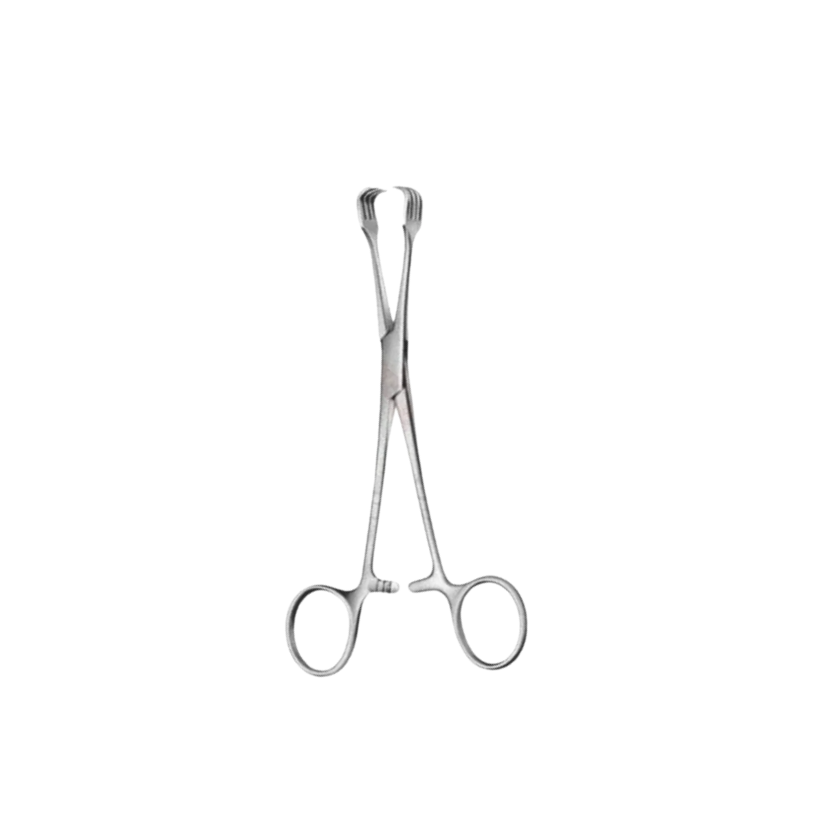 Braun Tissue Forcep