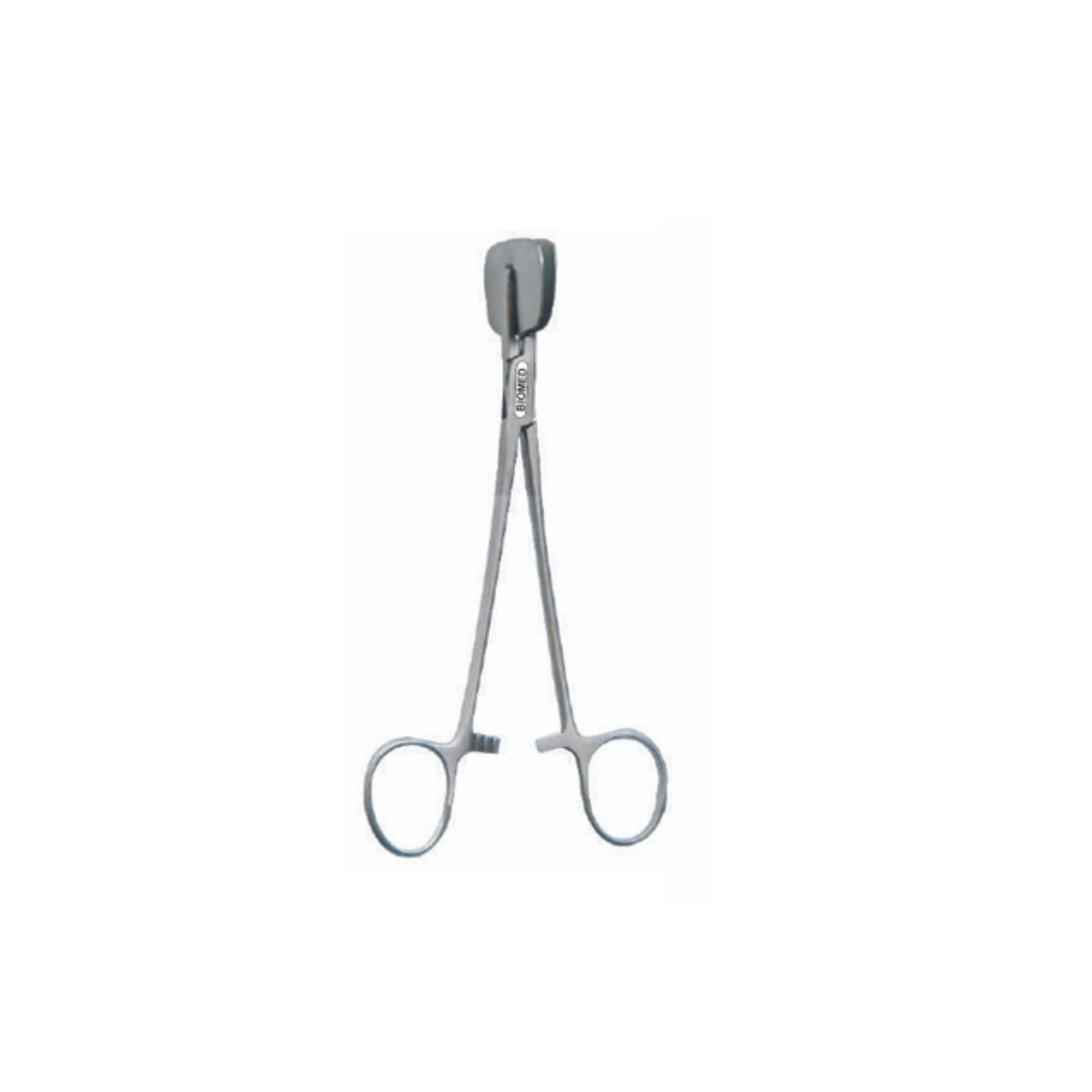 Houses Graft Press Forcep